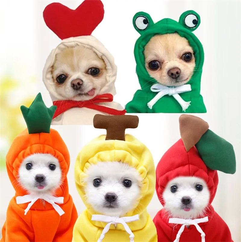 Pawtastic Costumes